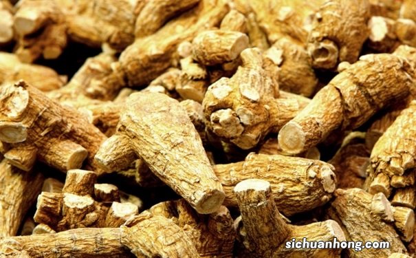 西洋参泡水喝的好处是什么?西洋参泡水喝的功效作用有哪些?