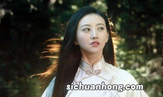 电视剧司藤的原著是什么 电视剧司藤讲述了什么故事