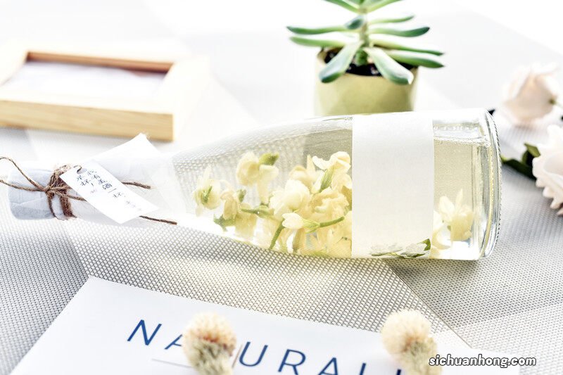 栀子花的养殖方法和注意事项有哪些