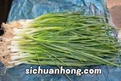 经常吃西红柿有什么养生功效?吃西红柿能改善视力吗?