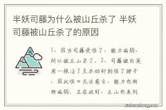 半妖司藤为什么被山丘杀了 半妖司藤被山丘杀了的原因