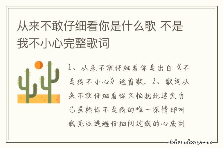 从来不敢仔细看你是什么歌 不是我不小心完整歌词