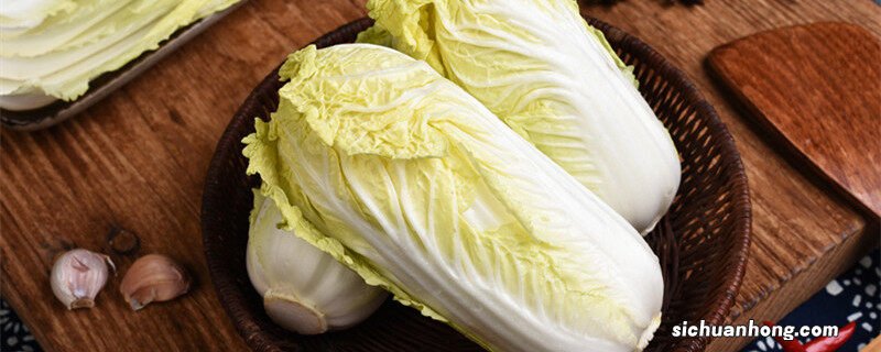 9种秋季必种蔬菜有哪些 9种秋季必种蔬菜