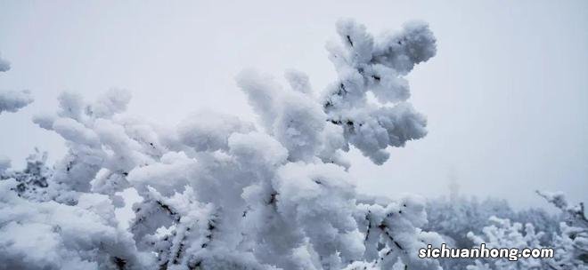 刚刚出炉的峨眉山雪景图