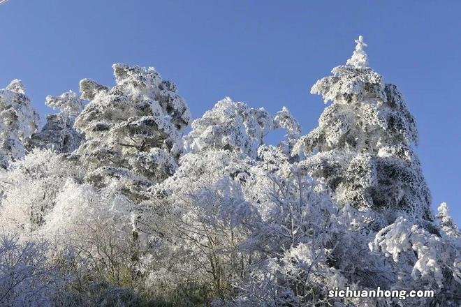 刚刚出炉的峨眉山雪景图