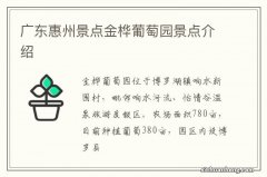 广东惠州景点金桦葡萄园景点介绍