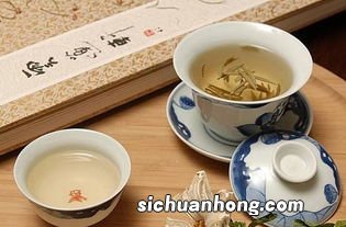 白茶用什么茶具泡