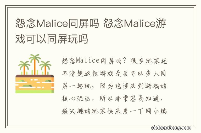 怨念Malice同屏吗 怨念Malice游戏可以同屏玩吗