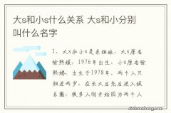 大s和小s什么关系 大s和小分别叫什么名字