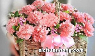 教师节适合送的鲜花 教师节适合送的鲜花有哪些