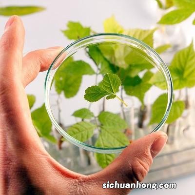治肝火最好方法有哪些