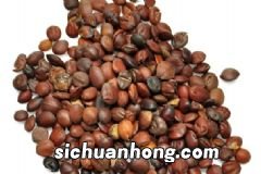汤臣倍健蛋白质粉金装版是怎么样的?蛋白质粉的挑选原则