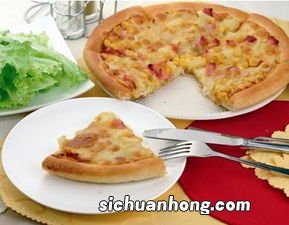电饼铛披萨发面要多久