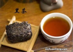 什么泥料的壶适合泡红茶