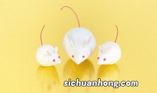 属鼠的跟属狗的合不合财 属鼠的跟属狗的合不合财运