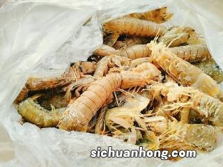 皮皮虾可以做什么汤