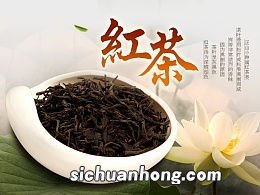 野生小种是什么茶