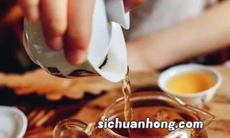 运动前喝什么茶