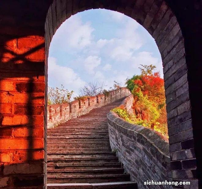 临海的秋天,每年必须打卡一次~