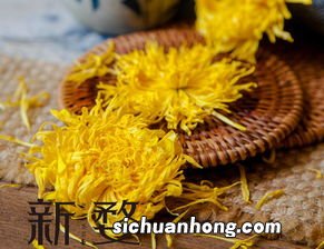 胎菊什么牌子好