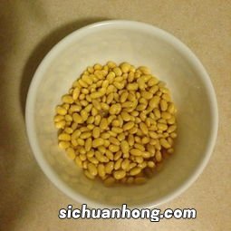 黄豆最长可以泡多久