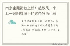 南京宝藏街巷上新！趁秋风，来逛一逛明城墙下的这条特色小巷