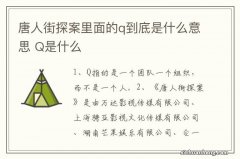 唐人街探案里面的q到底是什么意思 Q是什么