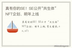 真有你的SE！SE公开“共生体”NFT企划、明年上线