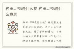 种田.JPG是什么梗 种田.JPG是什么意思