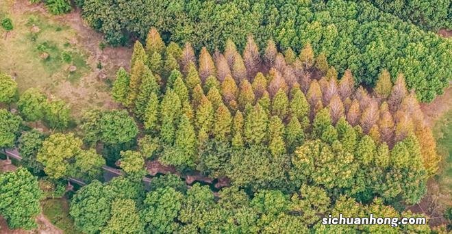 3天2晚,去一座充满烟火气和人文气的滨江小城:靖江