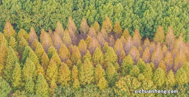 3天2晚,去一座充满烟火气和人文气的滨江小城:靖江