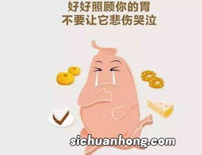 什么食物养胃易消化