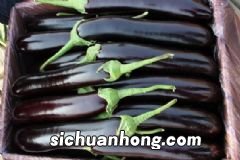 健康养生有什么要注意的?健康养生的注意事项有哪些?