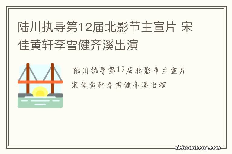 陆川执导第12届北影节主宣片 宋佳黄轩李雪健齐溪出演