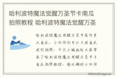 哈利波特魔法觉醒万圣节卡南瓜拍照教程 哈利波特魔法觉醒万圣节拍照打卡点