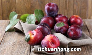 李子的产地分布，李子的产地分布地图