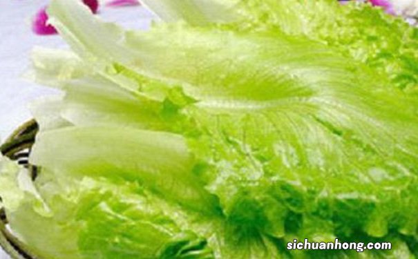 能够快速减肥的食物有哪些?快速的减肥的食物