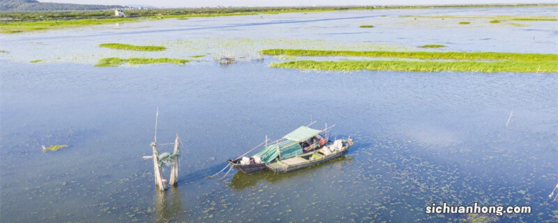 鱼塘最缺氧的时间是几点 增氧机每天大概开几个小时