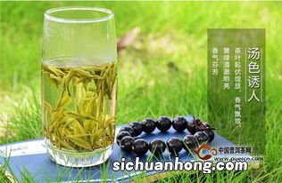 黄芽属于什么茶