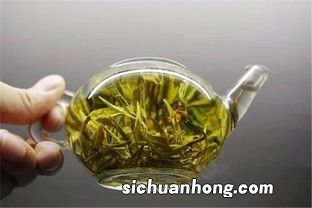 黄芽属于什么茶