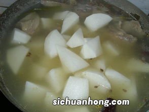 鸡肉煲玉米白萝卜汤有什么功效
