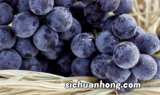 室内阳台适合种葡萄吗 室内阳台适合种葡萄吗冬天