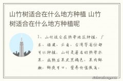 山竹树适合在什么地方种植 山竹树适合在什么地方种植呢