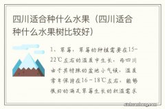 四川适合种什么水果树比较好 四川适合种什么水果