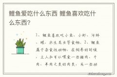 鲤鱼爱吃什么东西 鲤鱼喜欢吃什么东西?