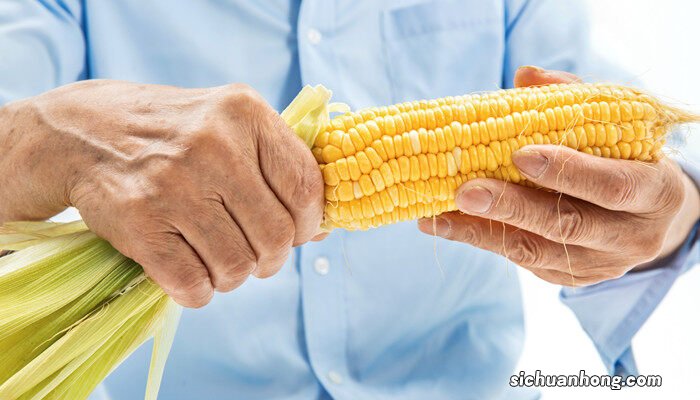 抗锈病的玉米品种有哪些适宜在山东烟台种植 抗锈病的玉米品种有哪些