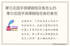 摩尔庄园手游硬翅桂花鱼怎么钓 摩尔庄园手游硬翅桂花鱼钓鱼攻略