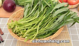 适合夏天种的蔬菜 适合夏天种的蔬菜种子