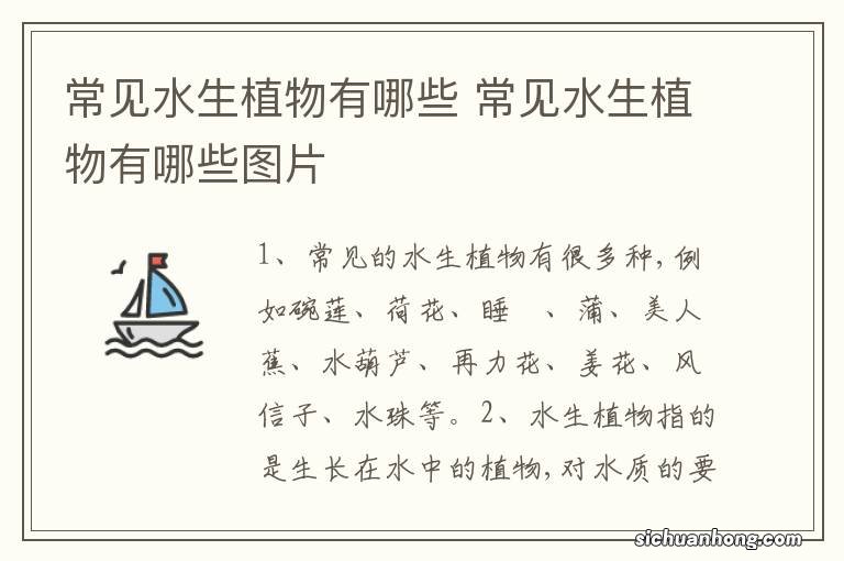 常见水生植物有哪些 常见水生植物有哪些图片