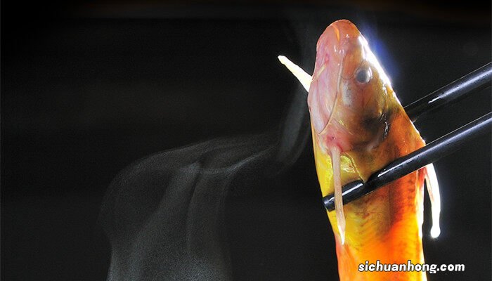 黄骨鱼怎么养活一个星期 黄骨鱼怎么养